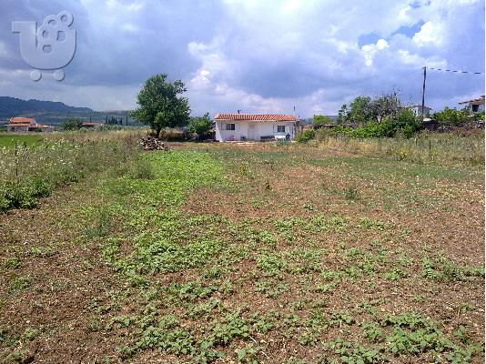 PoulaTo: ΕΝΟΙΚΙΑΖΕΤΑΙ